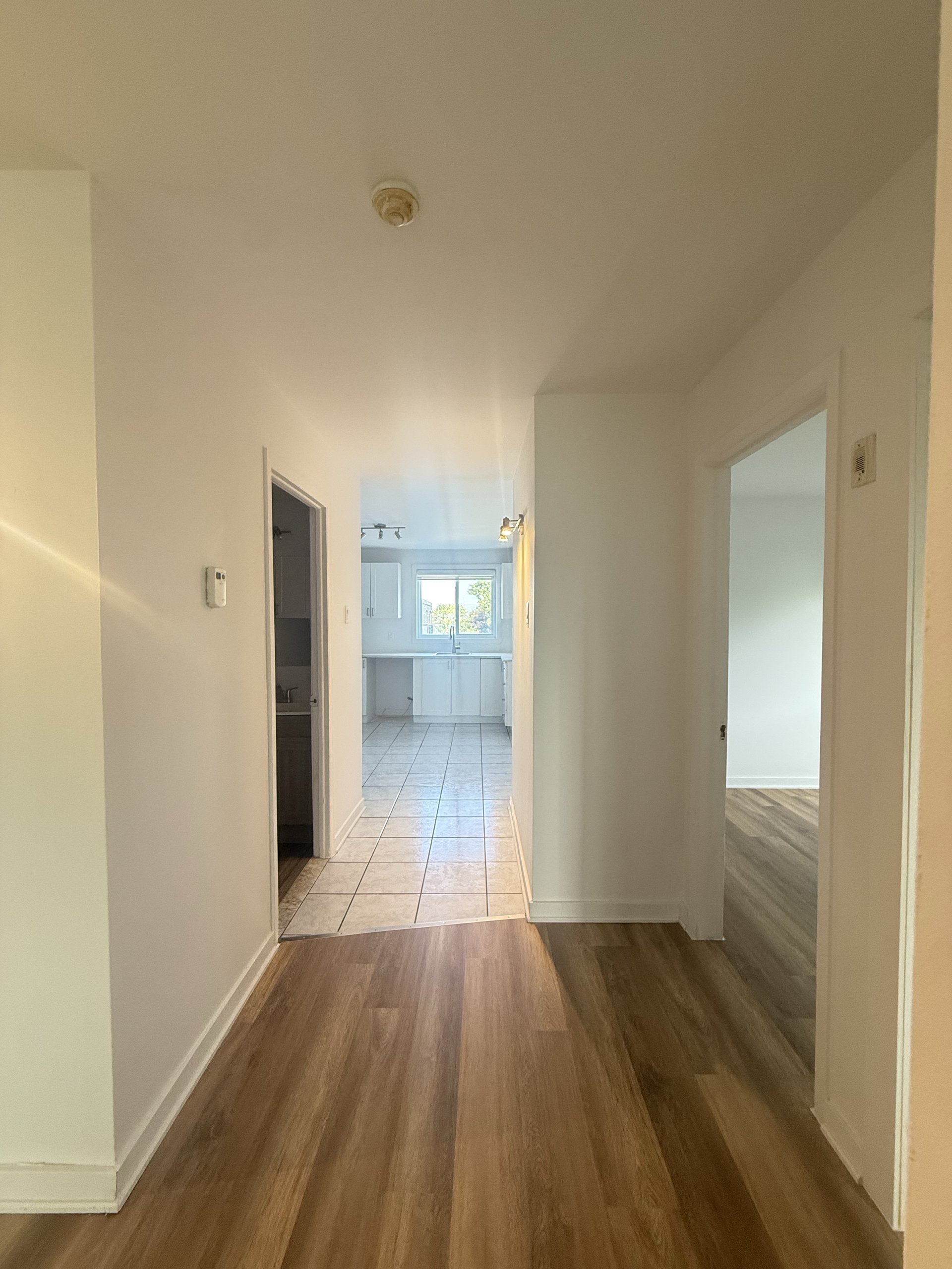 685 Nobert B — photo 8