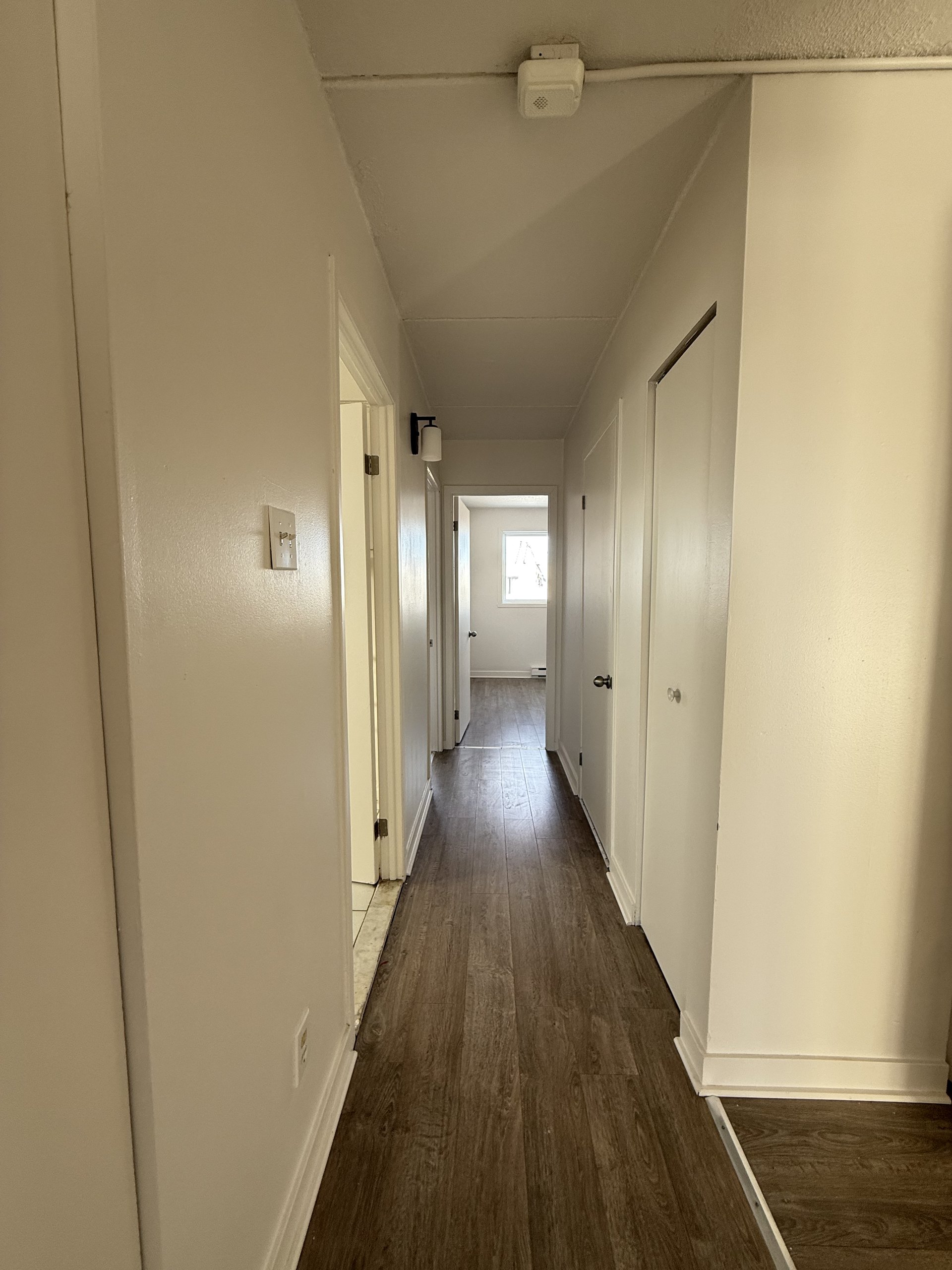 235 Turgeon — photo 12