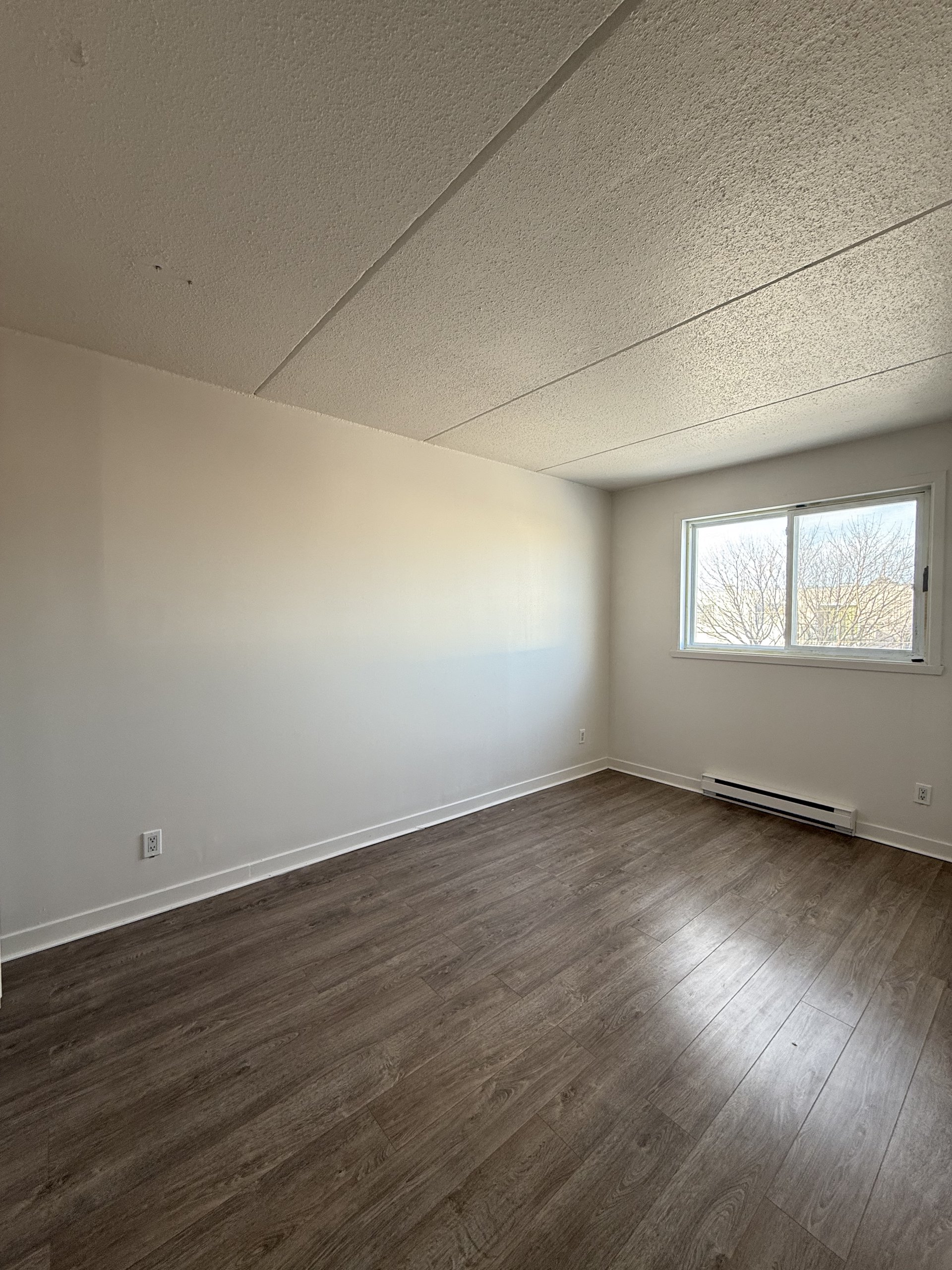 235 Turgeon — photo 16