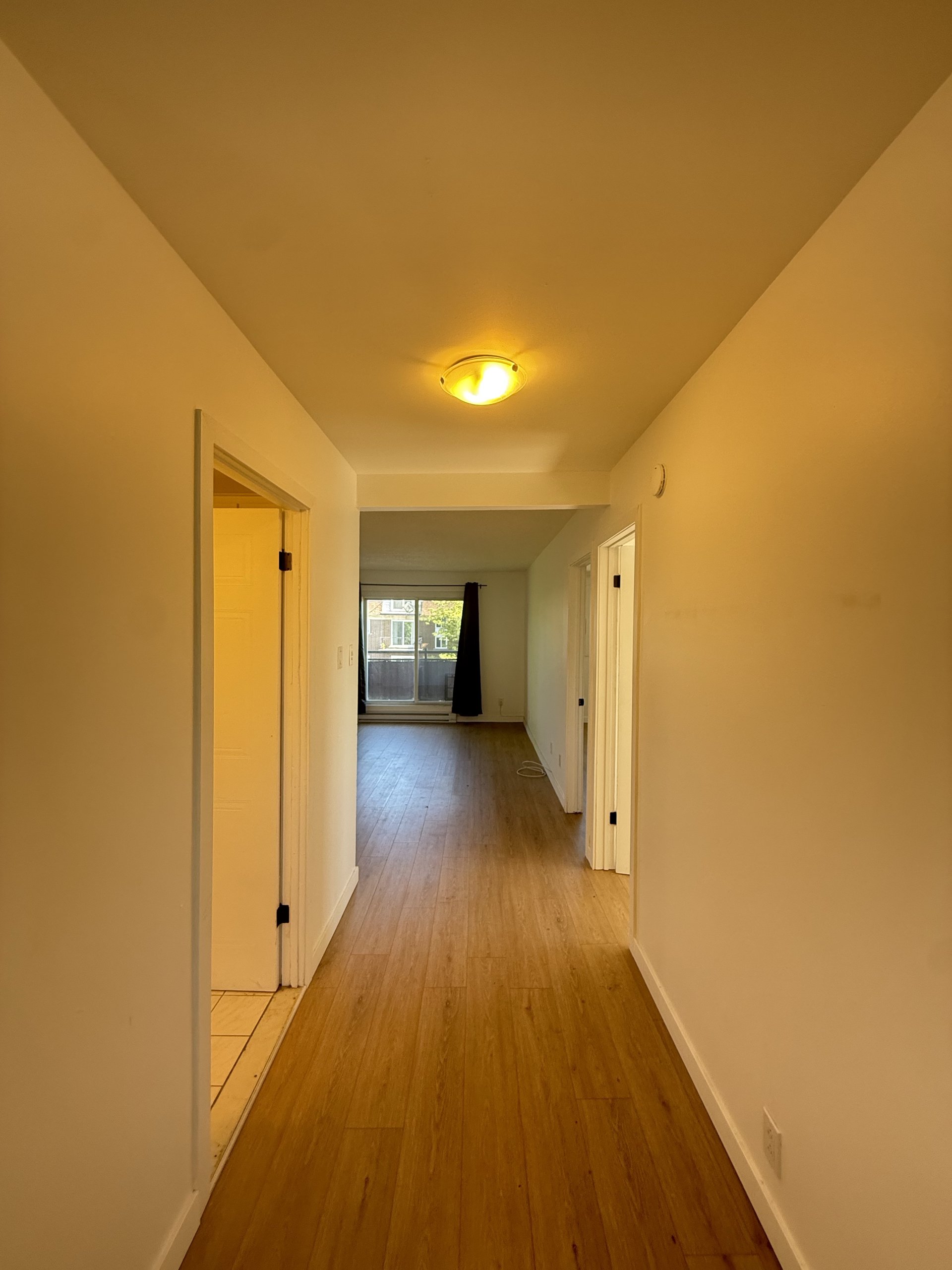 2310 Daniel — photo 11